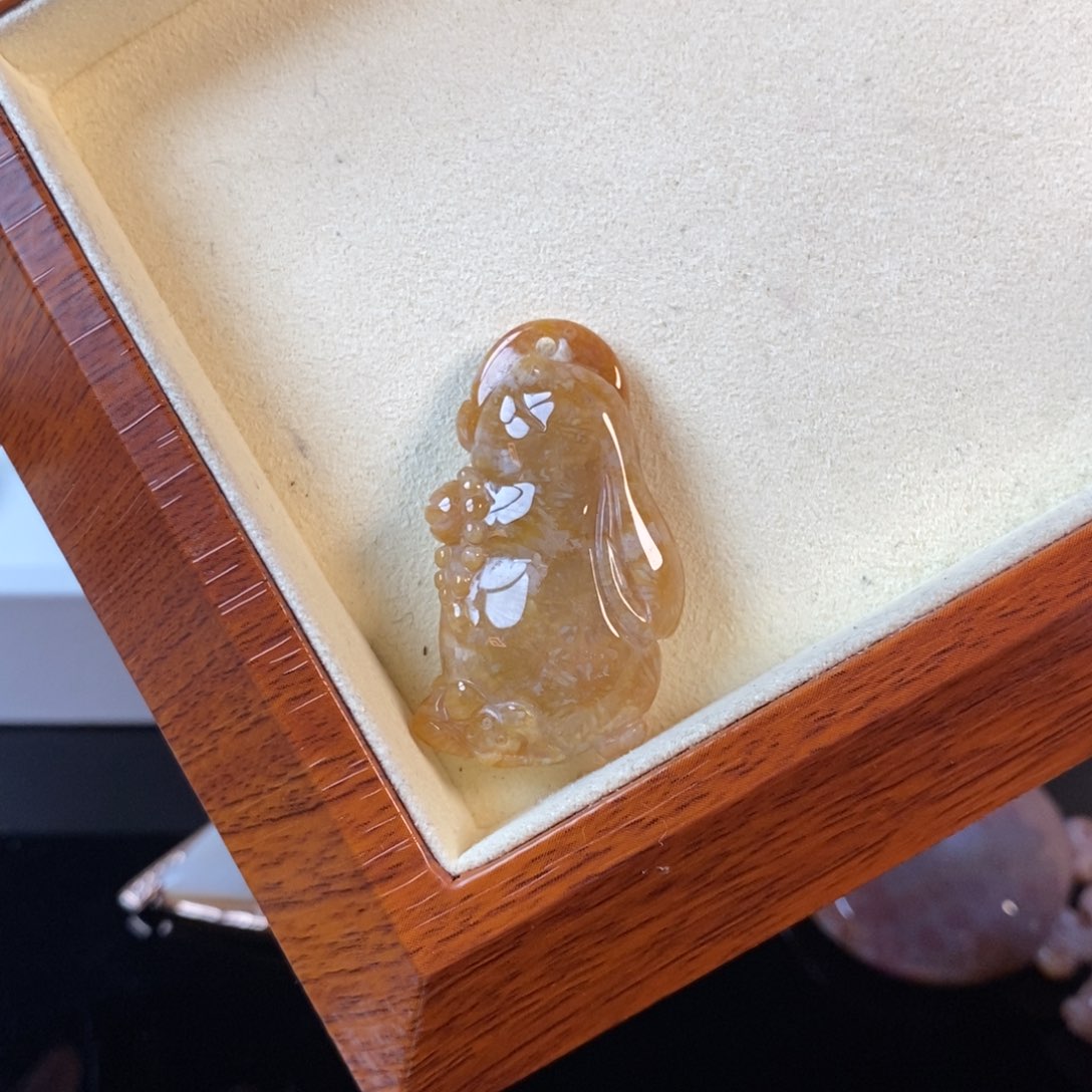硅化珊瑚（珊瑚玉）未镶嵌颈饰57