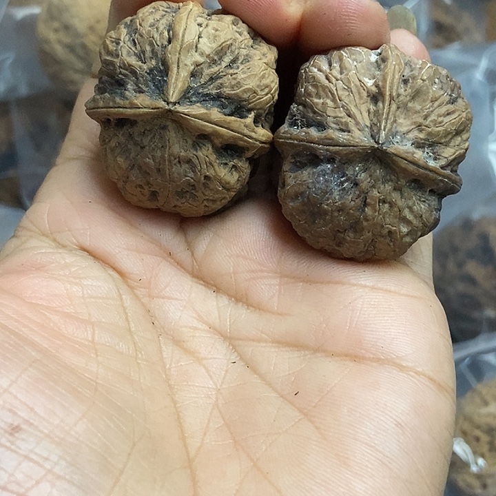 把件文玩核桃云南铁核桃基地17