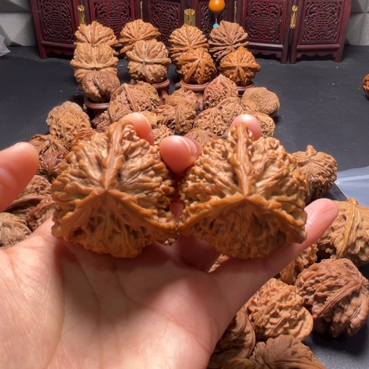 花*鱼官帽三棱43尺寸核桃哈哈哈哈哈哈