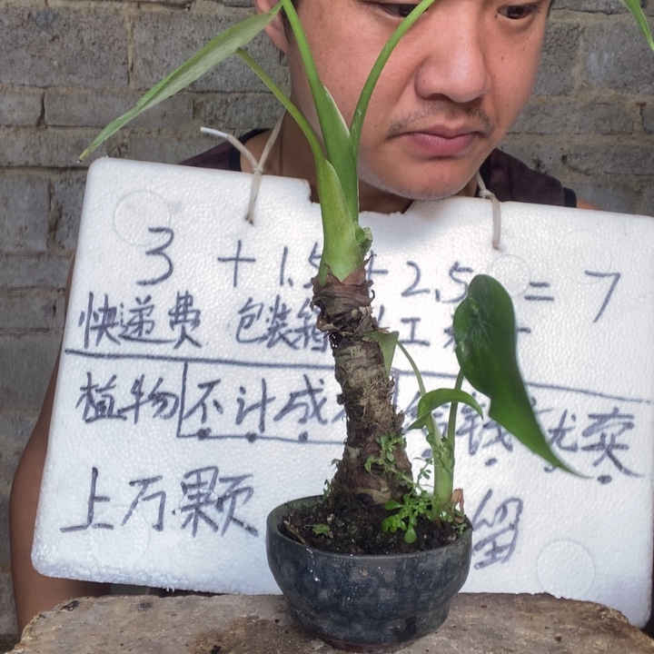 退款拉黑一物一拍32 