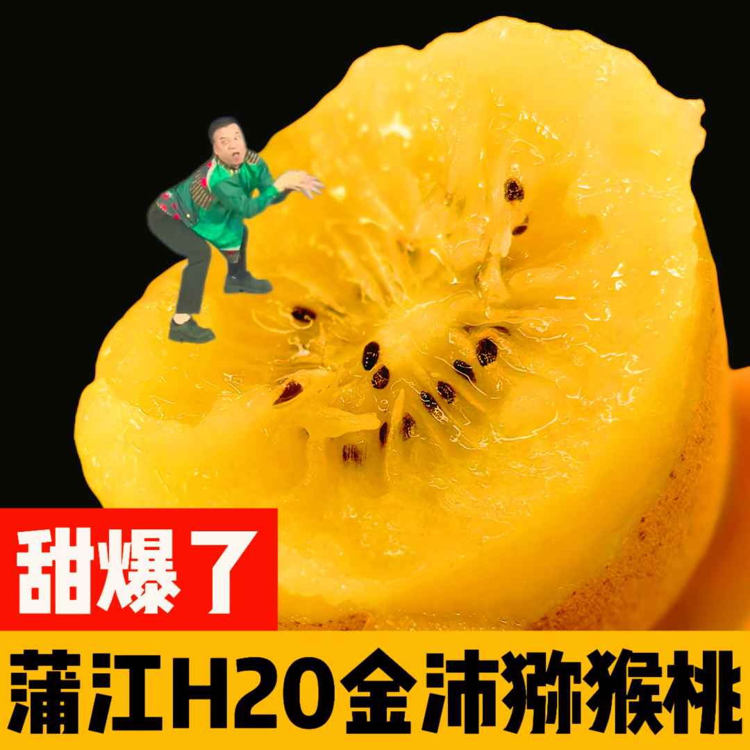 【金沛奇异果礼盒】蒲江H20黄心猕猴桃顺丰包邮