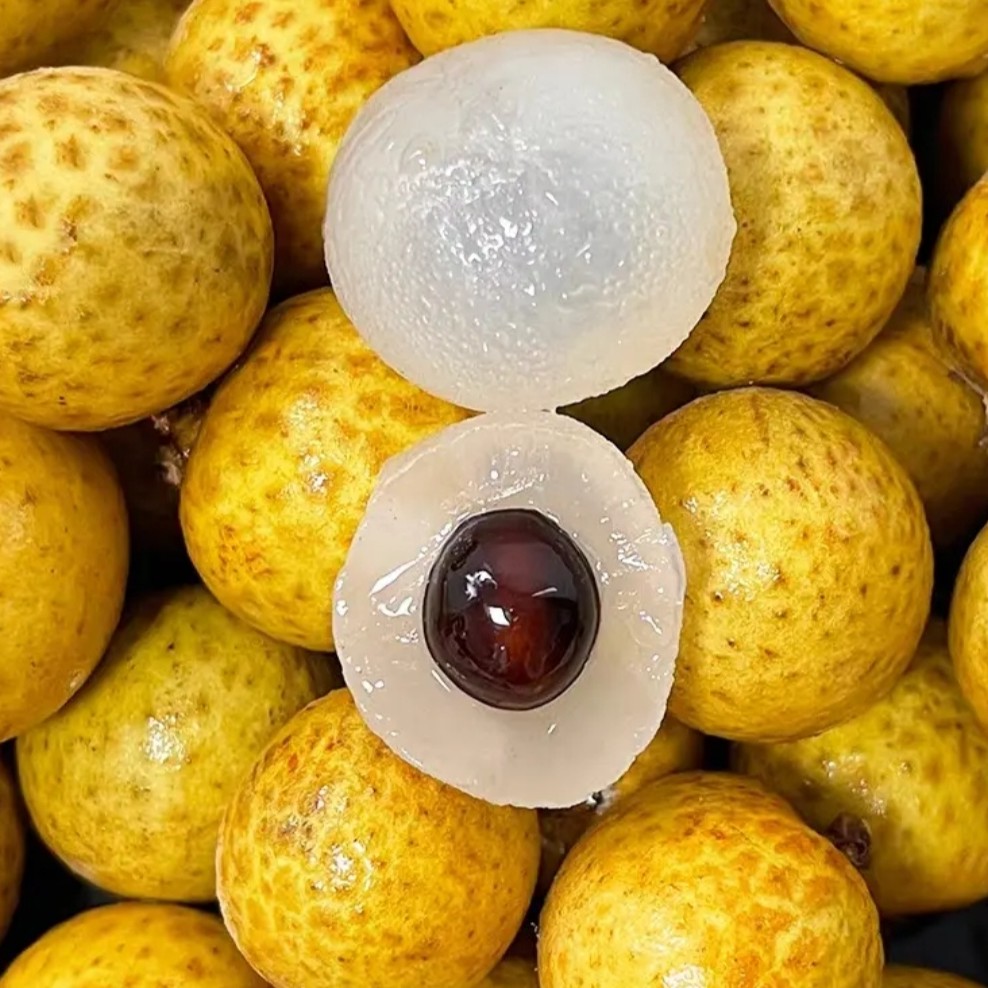 金果源金鳄鱼龙眼一盒一斤左右