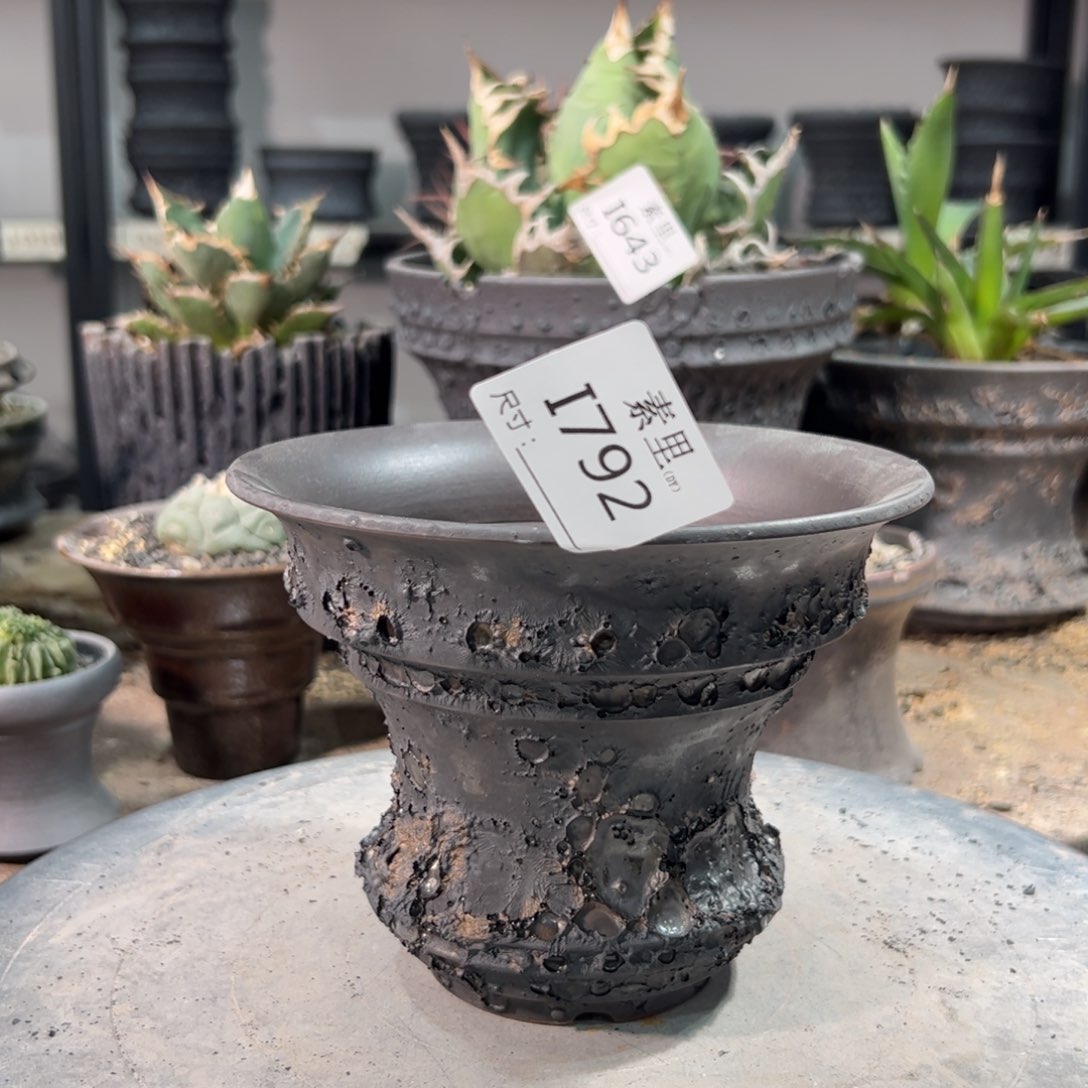 景德镇素里手工内口14.5高11.5