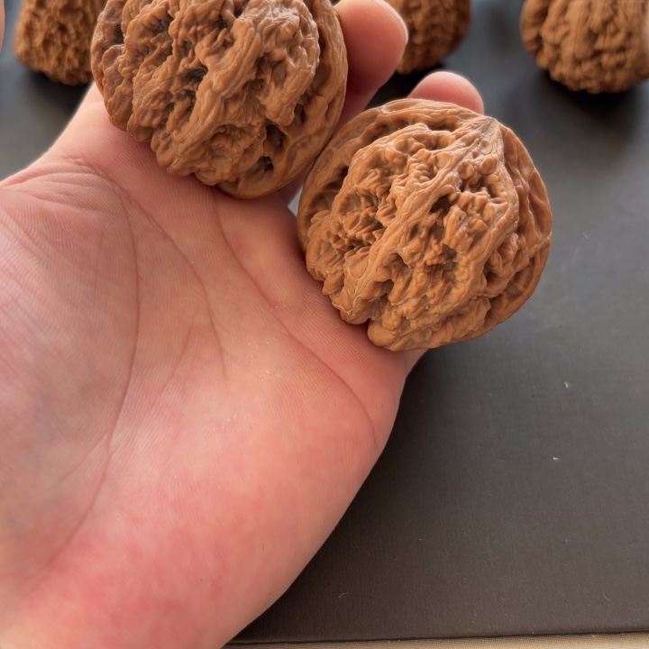 超***宝大叶紫檀（黑酸枝木类）粗筋