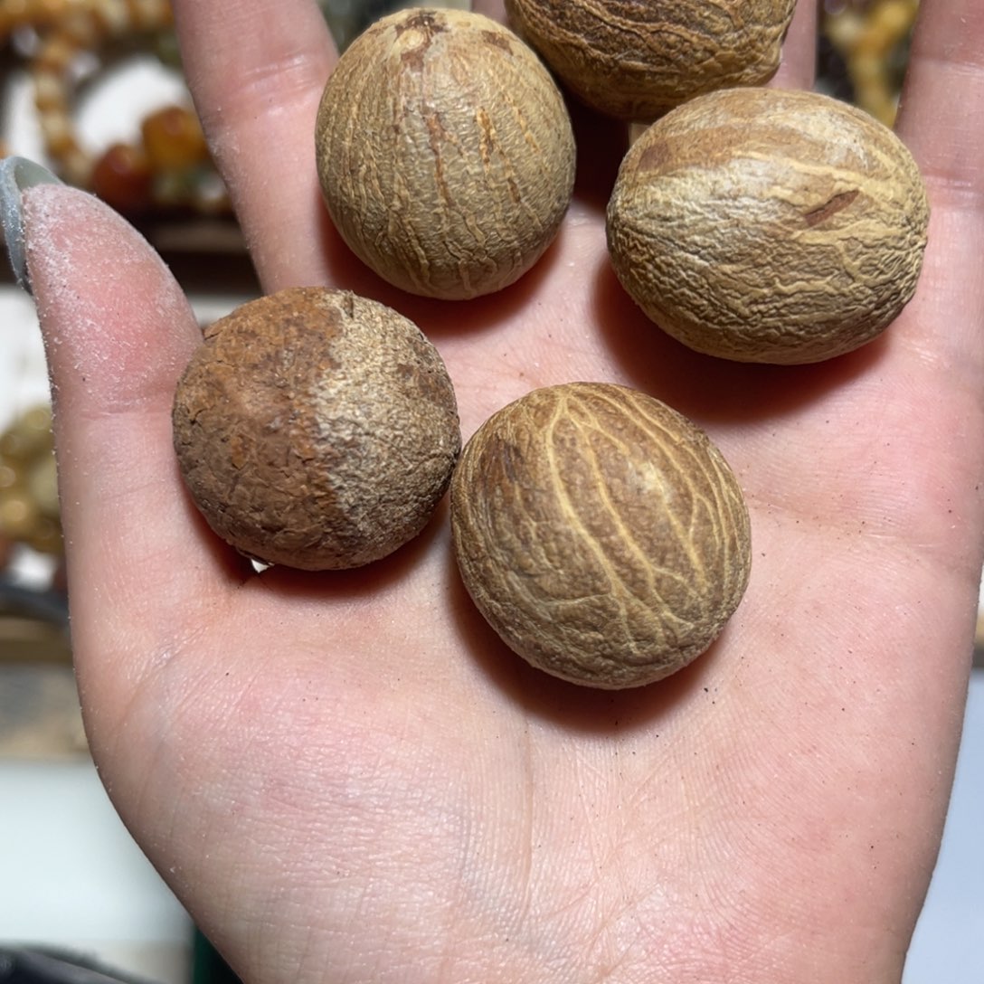 菩提根/象牙果吊坠卡20圆珠18颗➕弟子珠