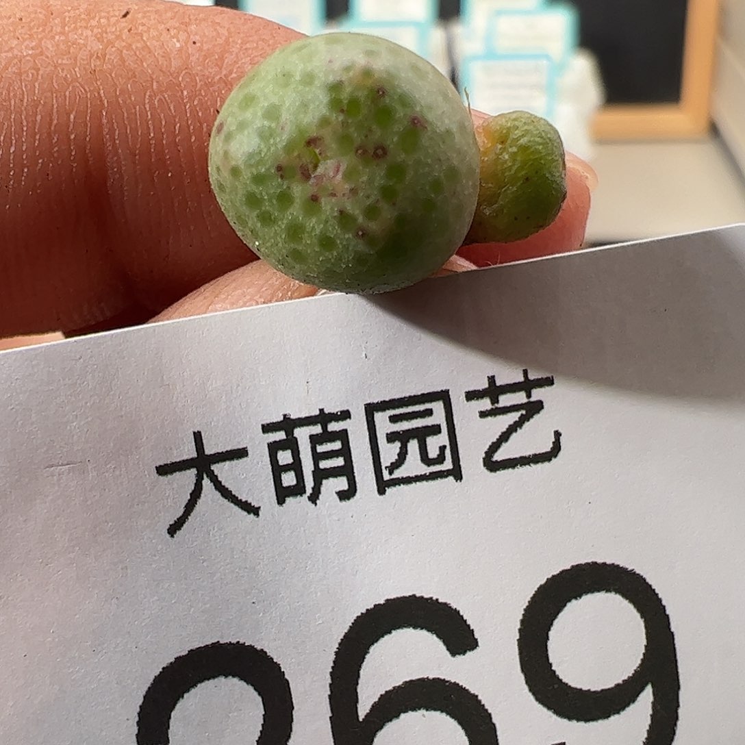 0000269 一物一拍……