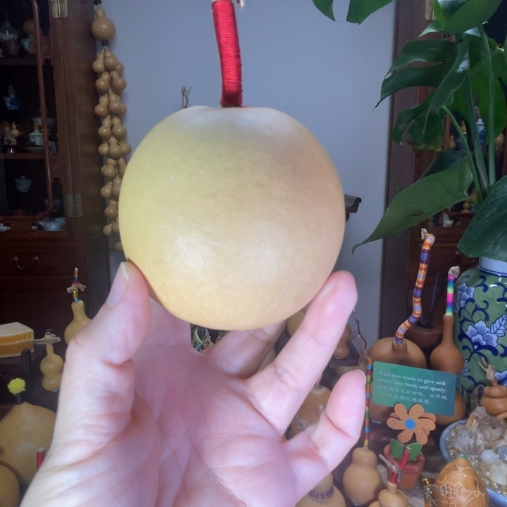 铁厚皮苹果型葫芦