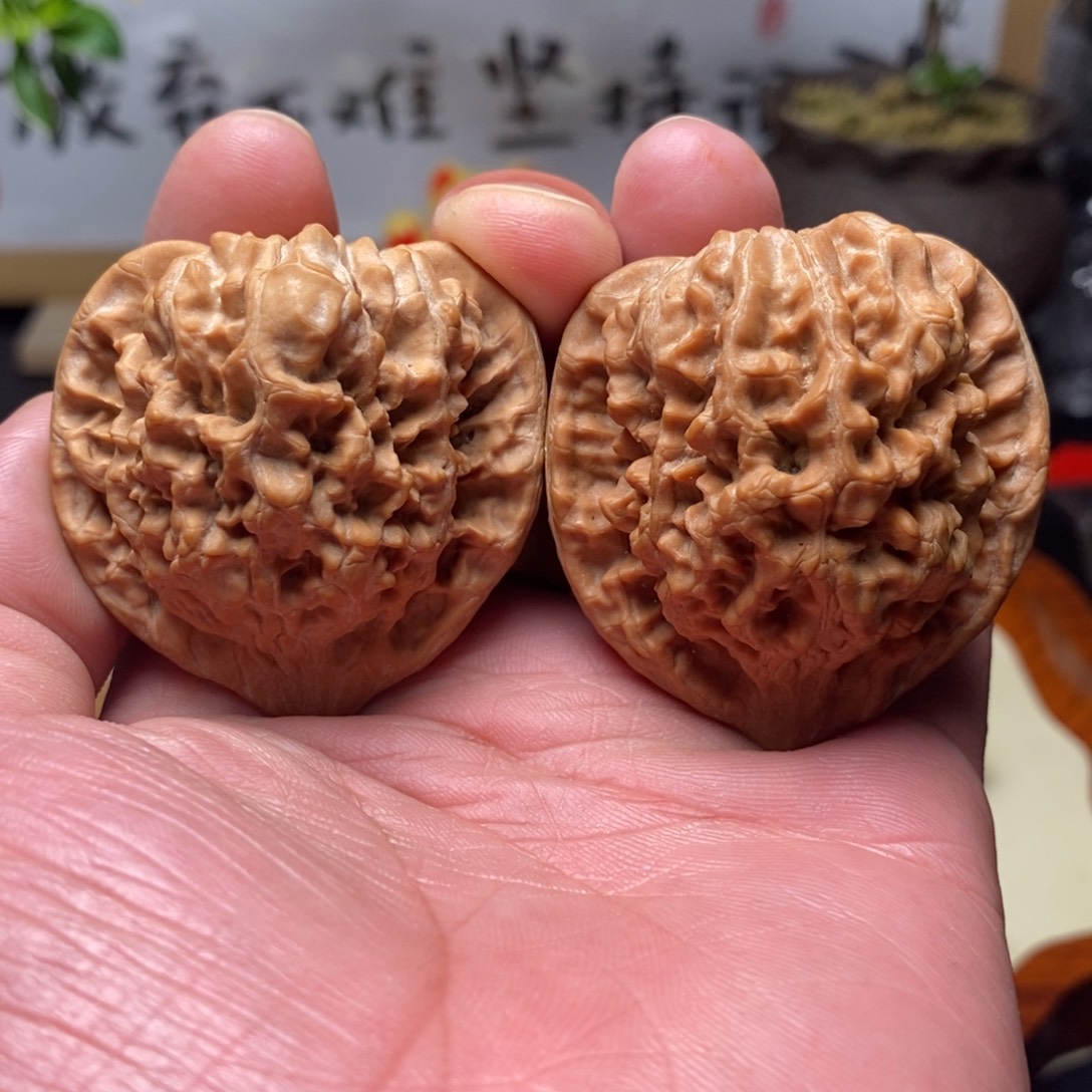 文玩核桃把件全品官帽45.5