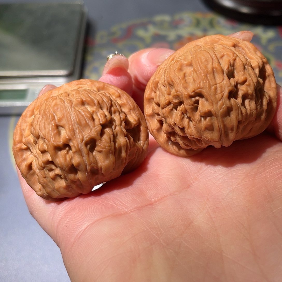 文玩核桃把件红狮子42 S6号