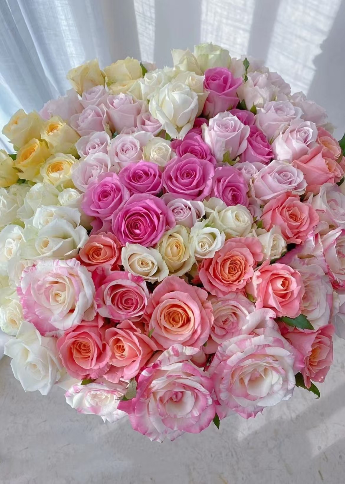 随机玫瑰鲜切花--云南基地新鲜现采现发-收到货需要醒花（6-8小时）