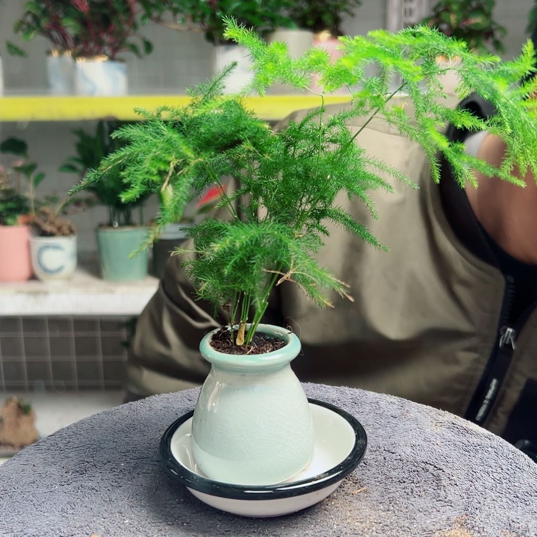 小***呵无花朵28                      