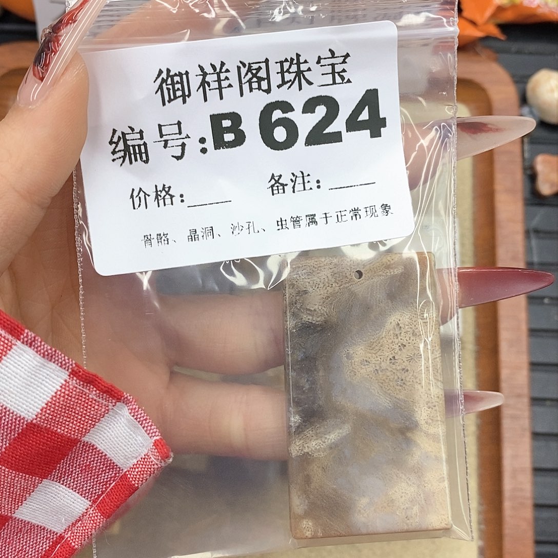 硅化珊瑚（珊瑚玉）颈饰未镶嵌冬*