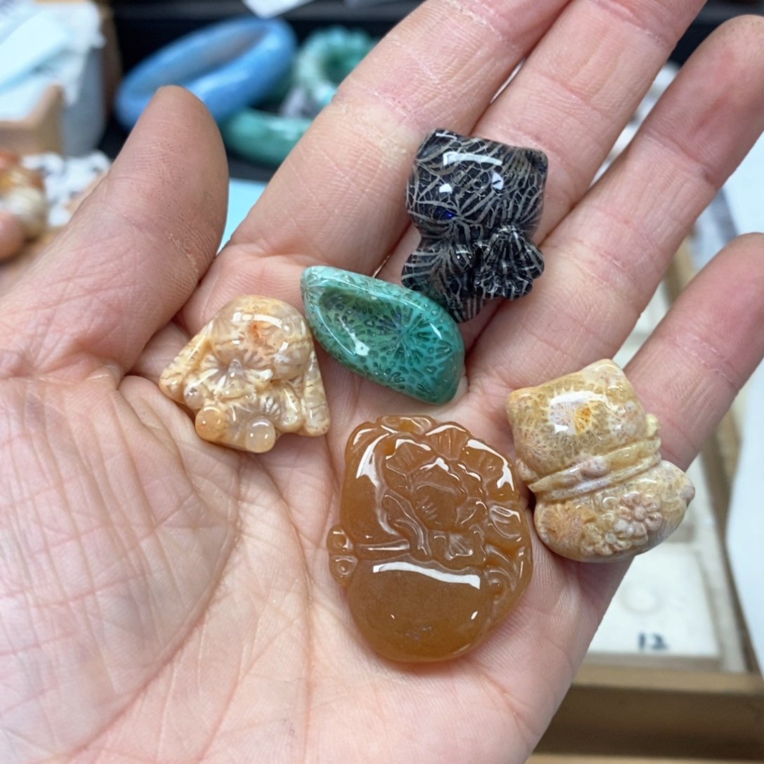 硅化珊瑚（珊瑚玉）手链未镶嵌我***肉391