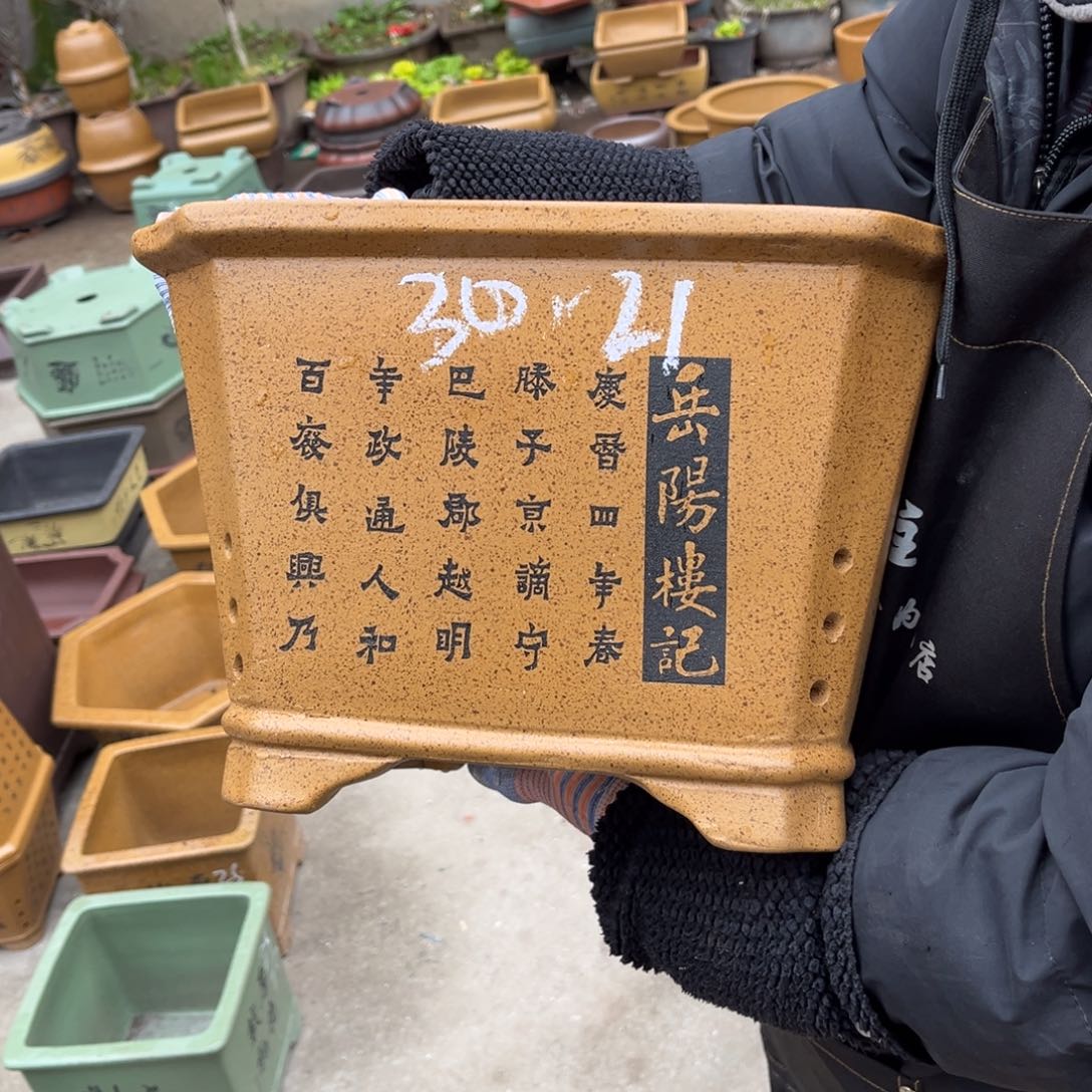 紫砂花盆盆景艺术