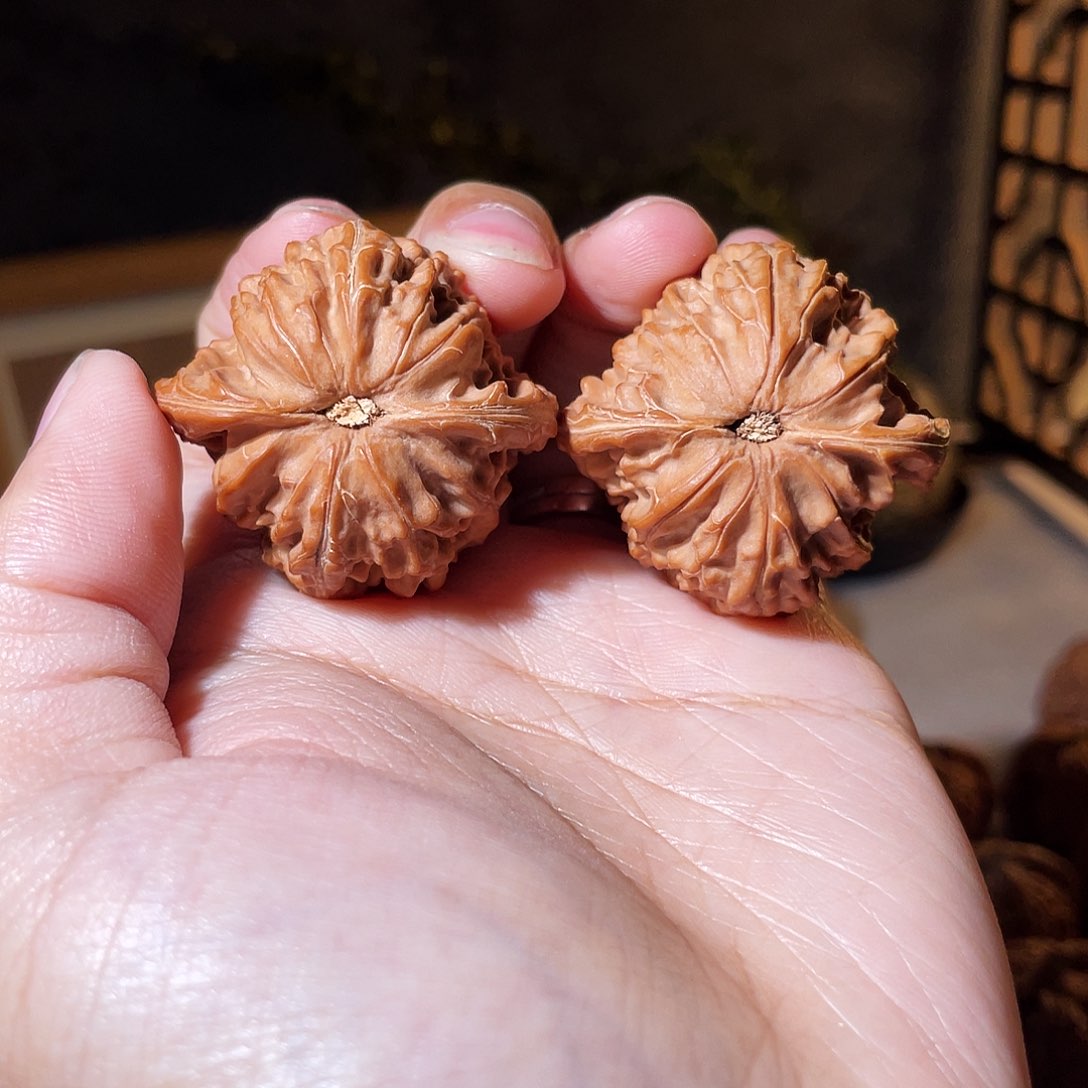 核桃手串/手链用****239山地磨盘全品无修