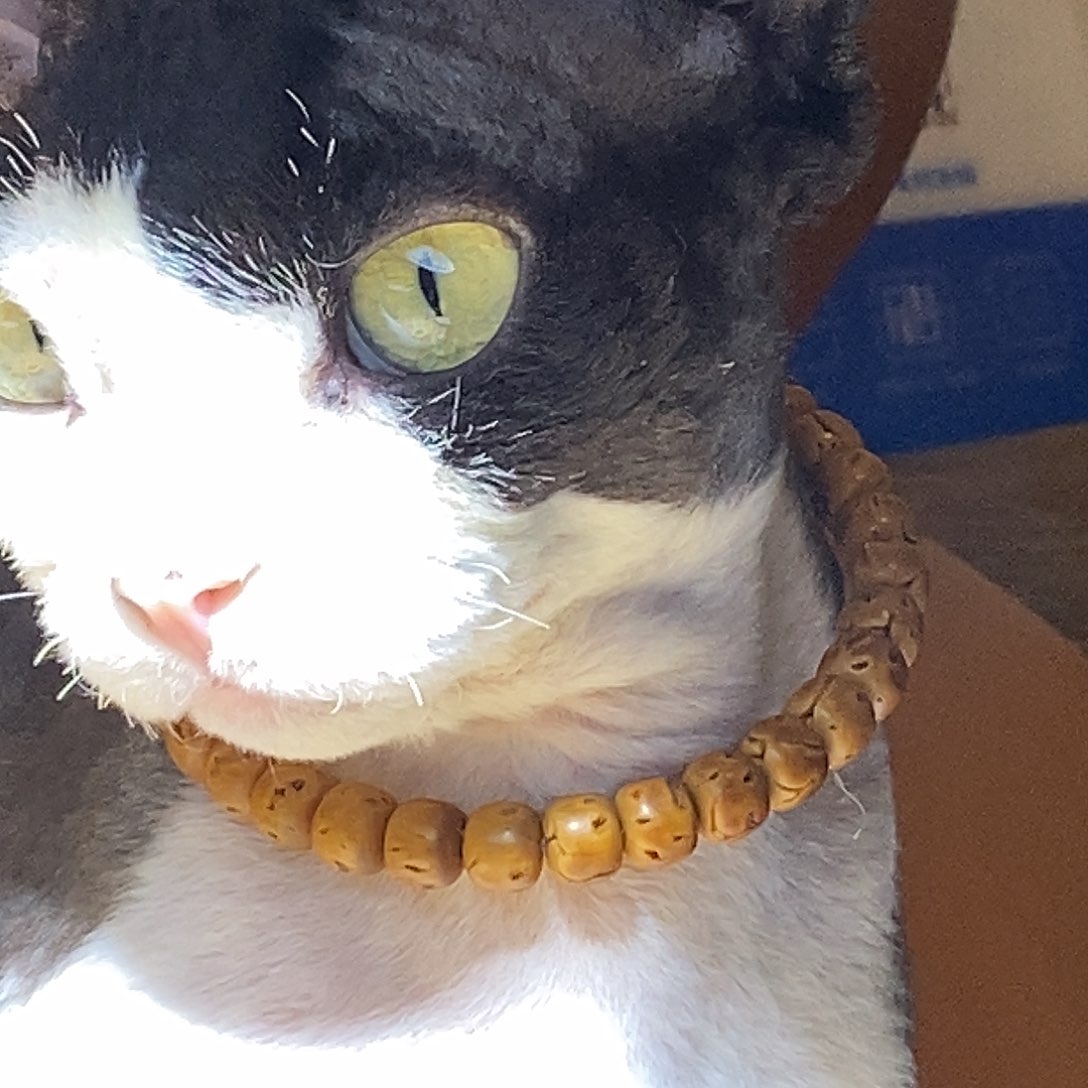 核桃手串/手链超级招财猫