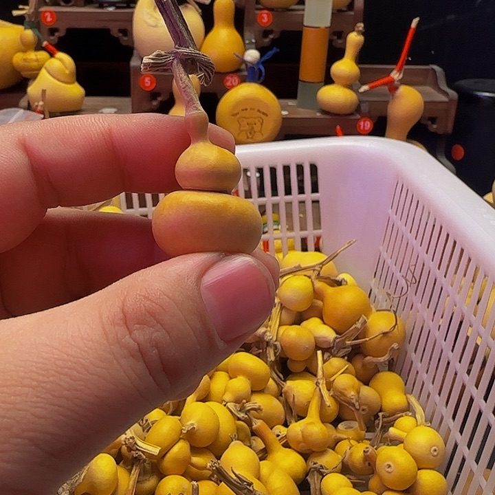 小*我的人生真的没有办法弥补