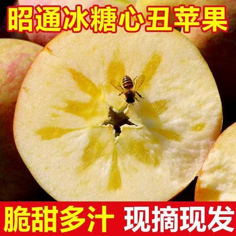 【直播福利】正宗云南昭通红富士冰糖心丑苹果脆甜多汁孕妇包邮