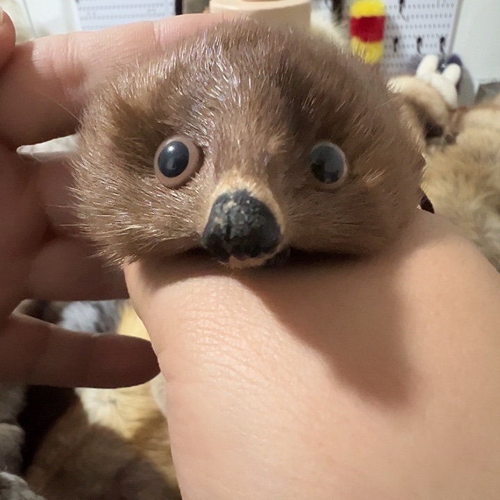 阮***.围脖围脖围巾围脖