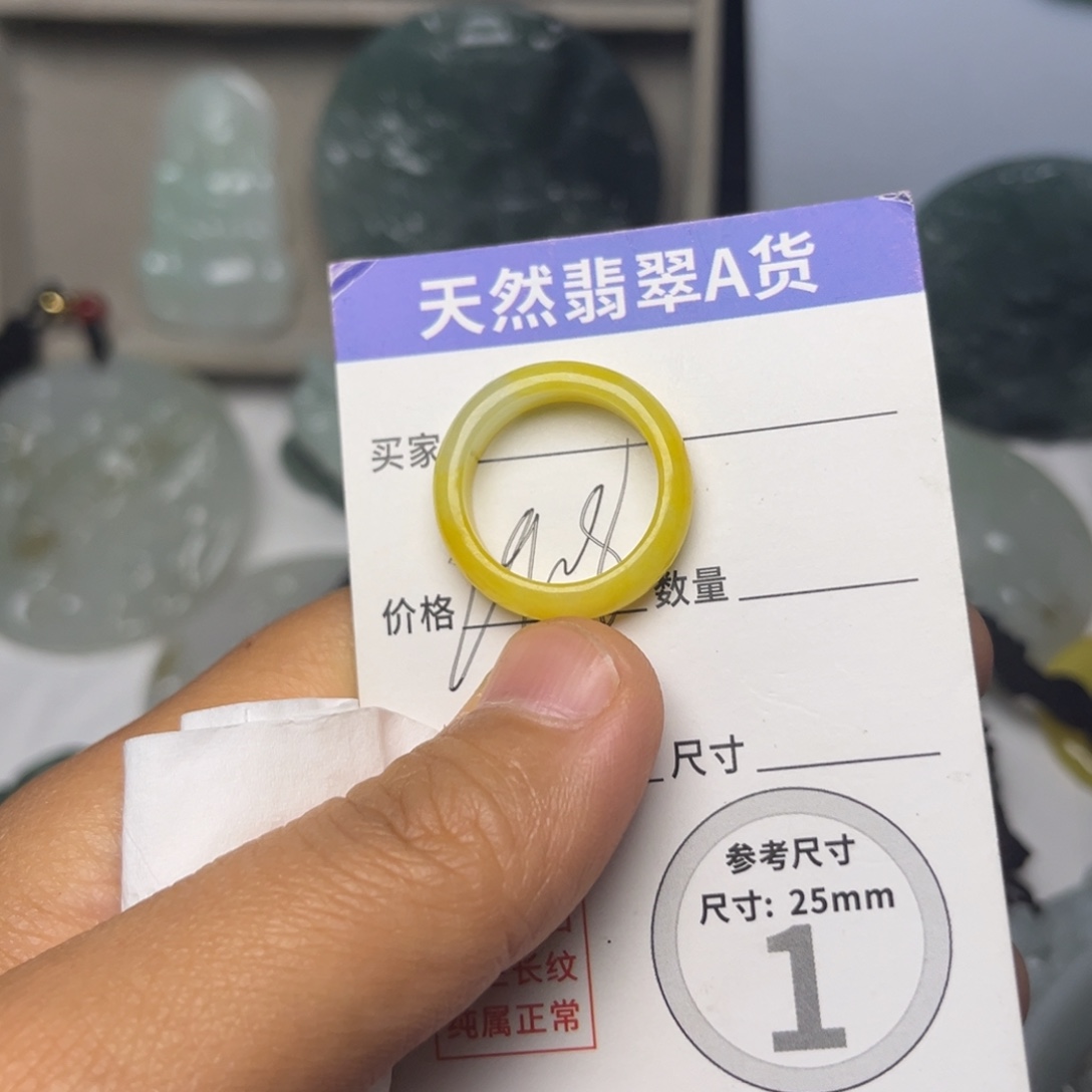翡翠未镶嵌颈饰挂件