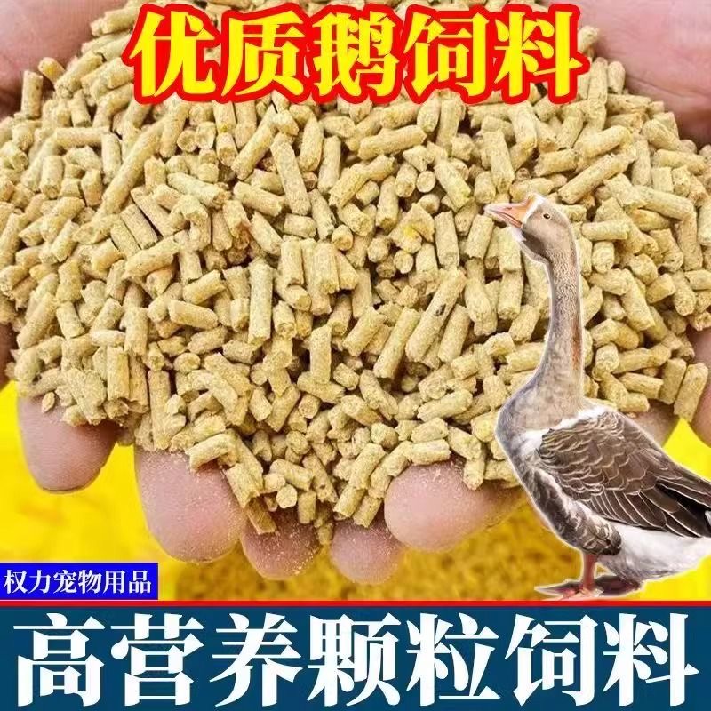 农村散养狮头大种鹅营养饲料[4只]