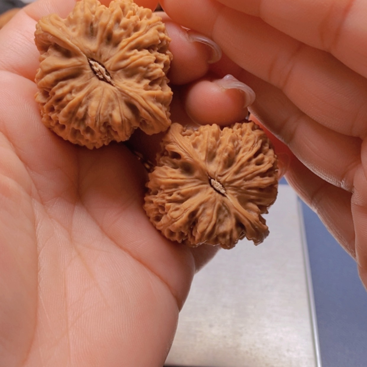 【闪购商品】6天然矮桩南疆石边41