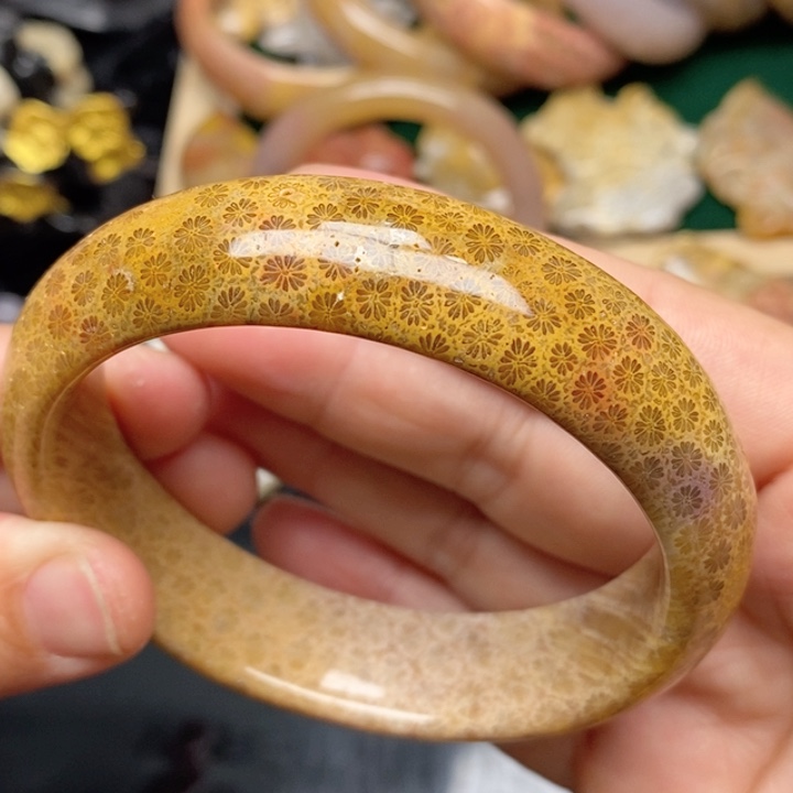 硅化珊瑚（珊瑚玉）手镯未镶嵌61