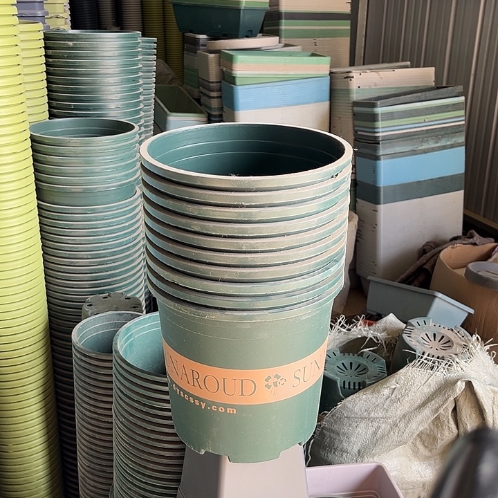 瑕疵带字母2加伦发10个长盛