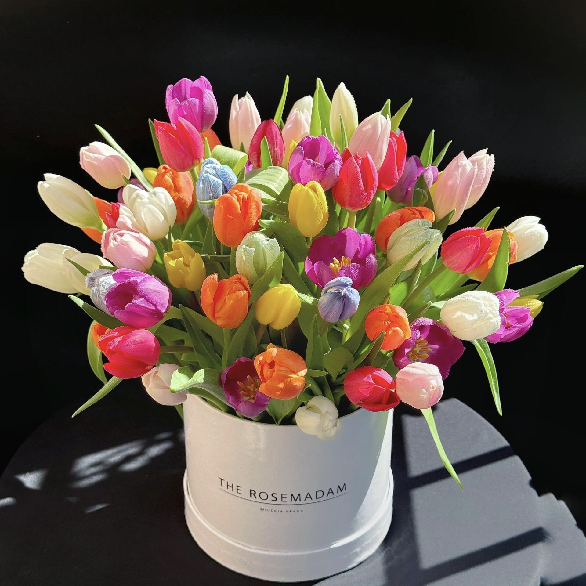 混色郁金香蓝色室内客厅粉丝鲜花不挑品种水培花卉