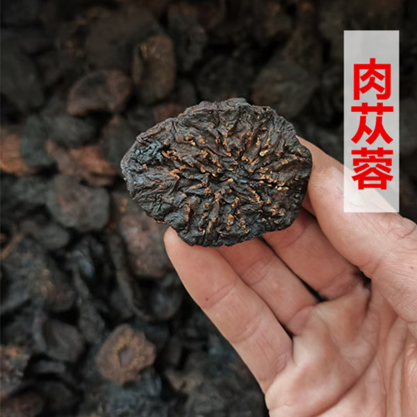 [肉苁蓉]新疆 精选油苁蓉 菊花心