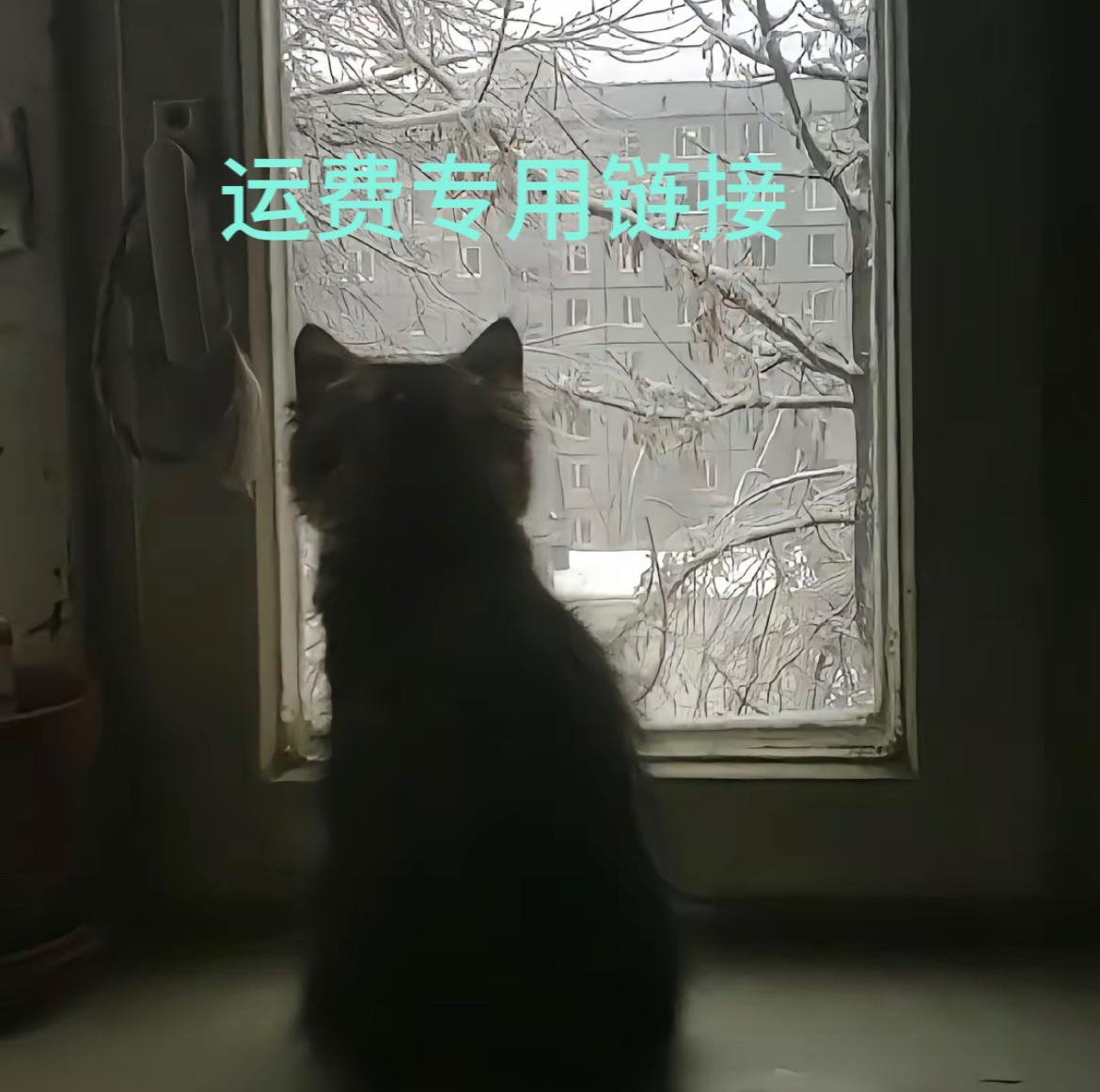 拍立得打印明星小卡爱豆打印补运费