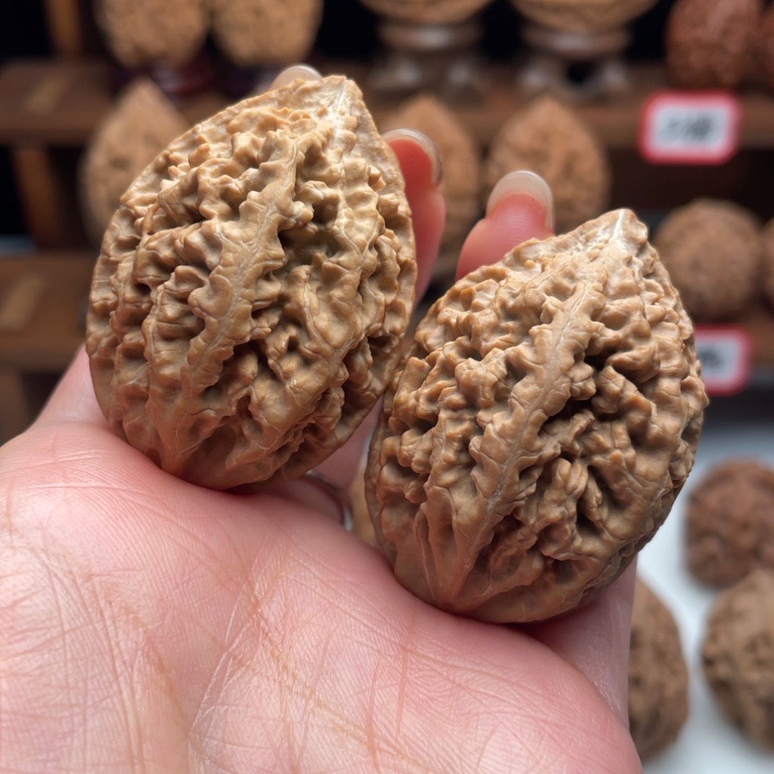 文玩核桃把件楸子41