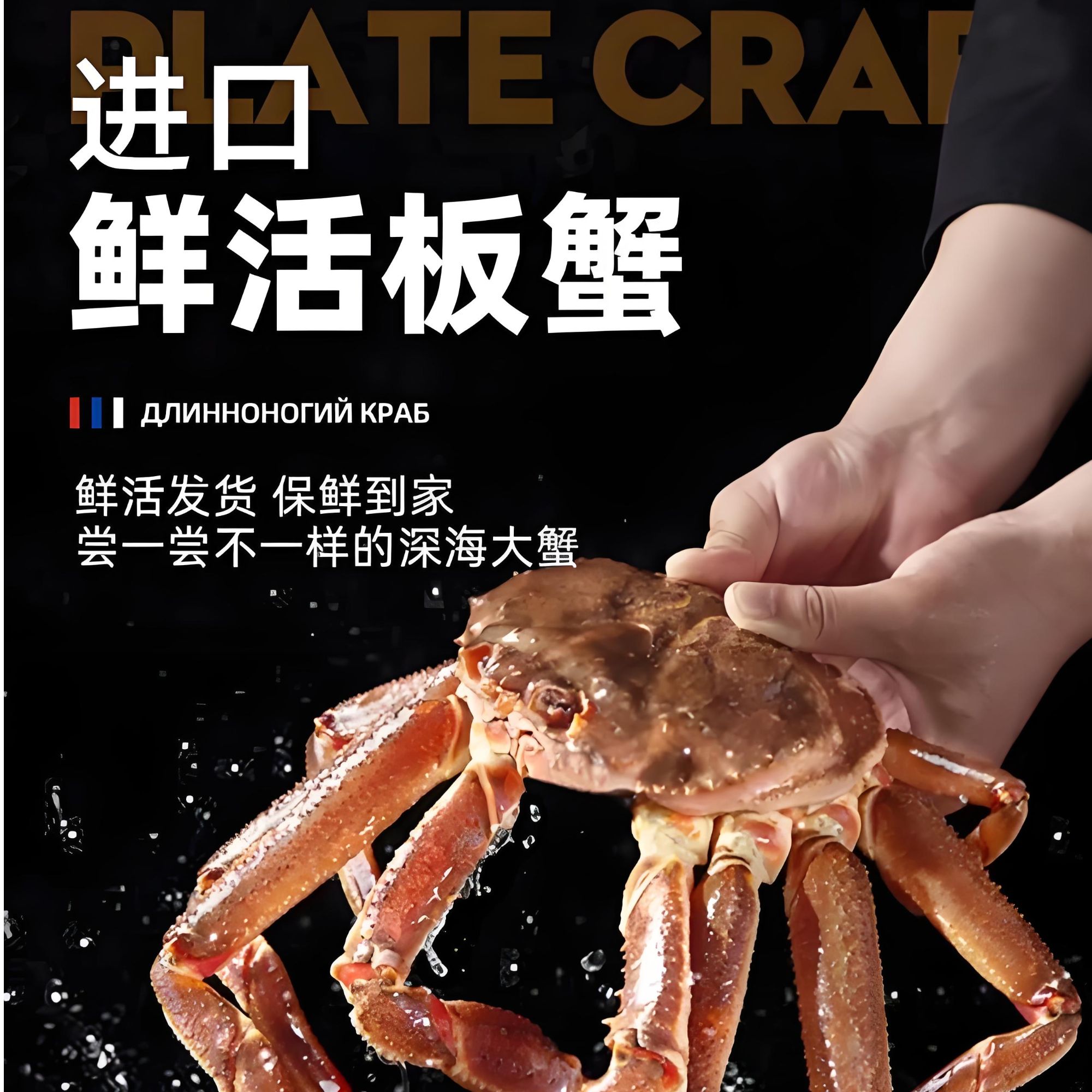 长脚蟹鲜活活鲜松叶蟹江浙沪顺丰充氧活发（保鲜不保活）新鲜板蟹