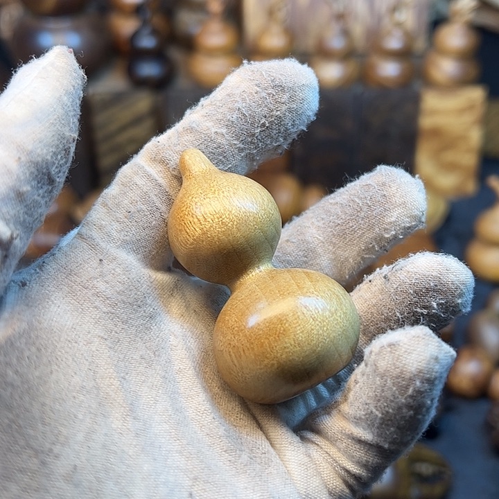 楠木金丝楠木小叶