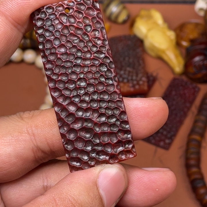 驼骨其他人工养殖