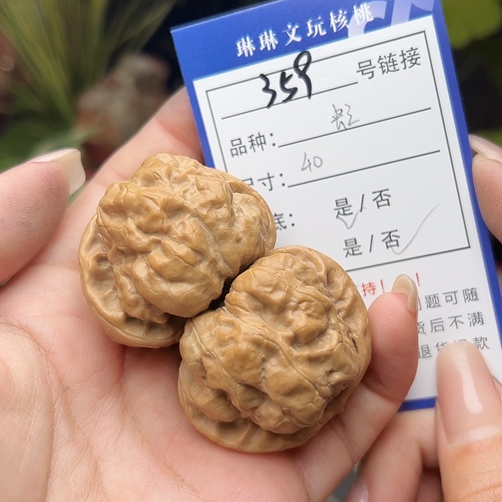 文玩核桃吊坠核桃和359