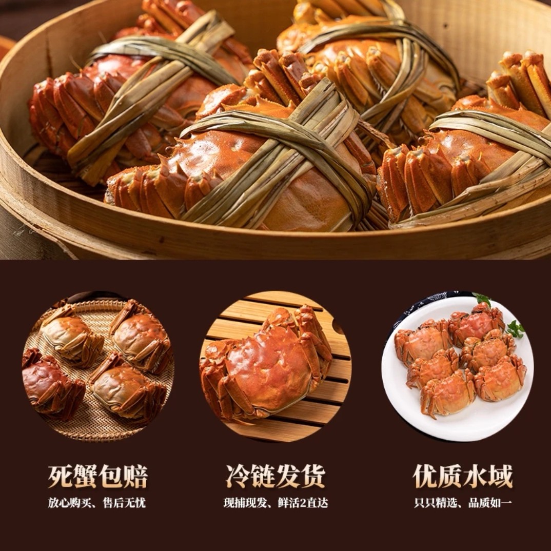 【活蟹】河蟹1.8～2两母蟹8只长春同城当天到