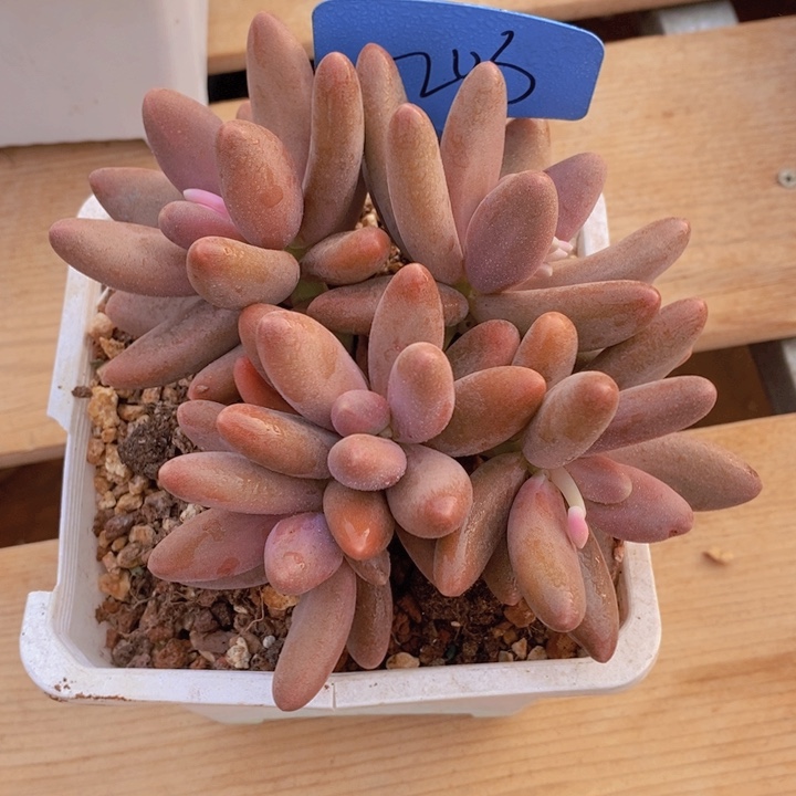 这么多事不忙来我