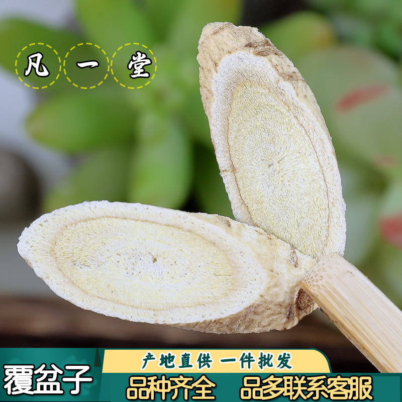 黄芪 黄芪大片 黄芪 北芪 黄氏 道地严选