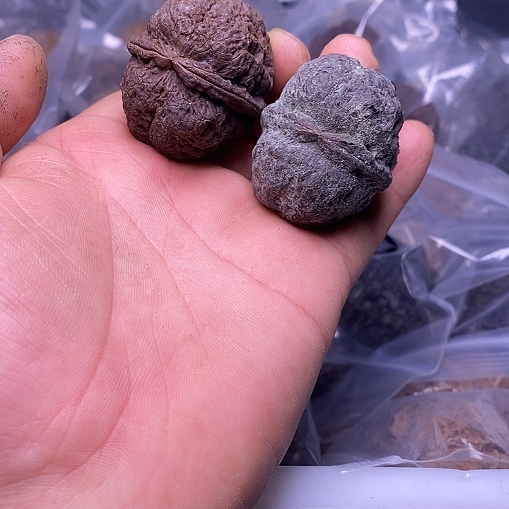 把件文玩核桃   205