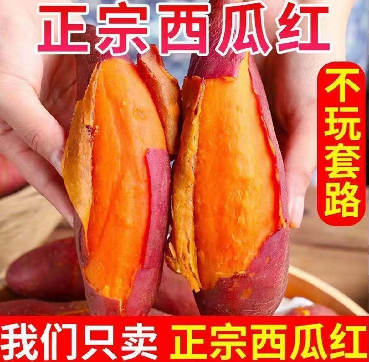 【新店促销】现挖西瓜红蜜薯番薯香甜软糯自种红皮红心红薯非紫薯