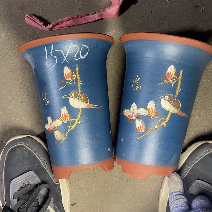 红陶紫砂紫砂小时