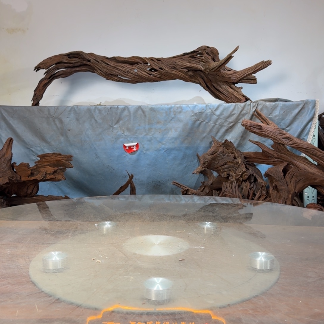 沉木一物一拍造景