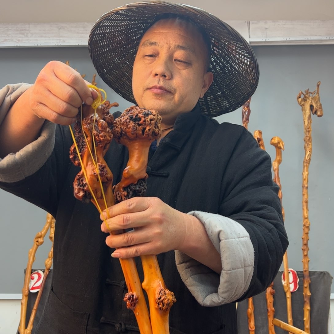 黑果木其他黑果木981