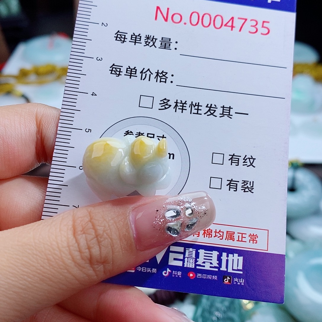 翡翠未镶嵌颈饰4735