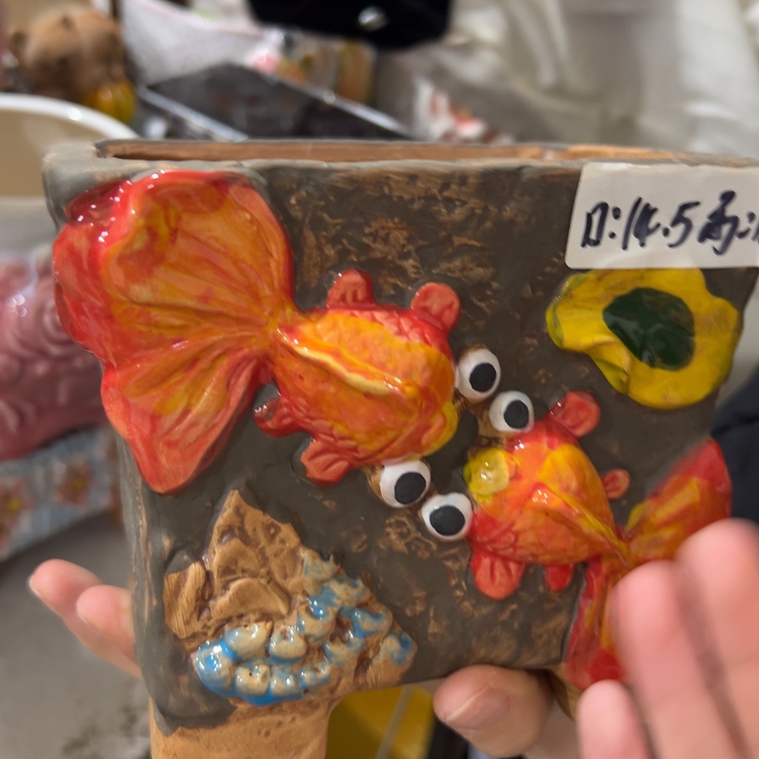 满20米秒退拉黑花盆