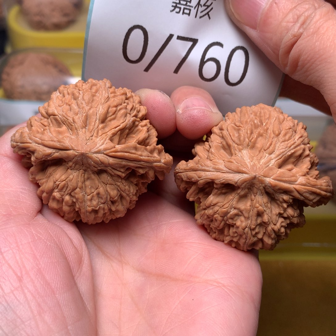 文玩核桃把件肉球满天星44