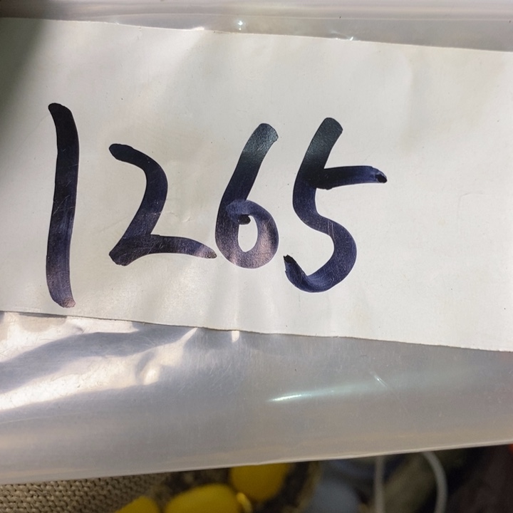 用***9娜娜文玩杂项专属链接