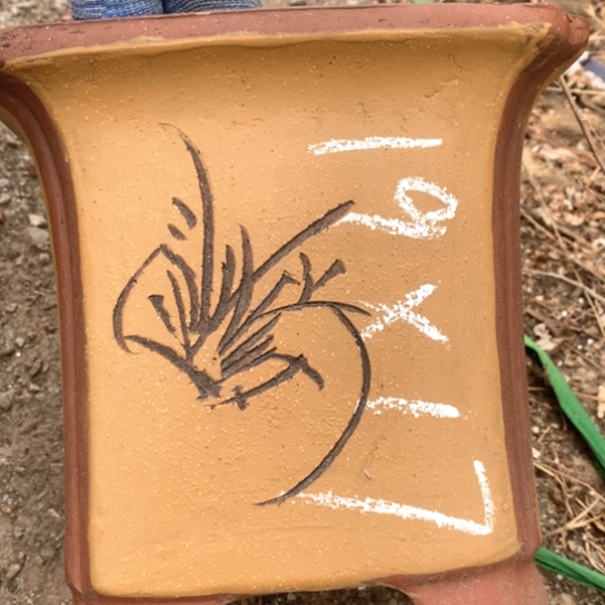 【闪购商品】紫砂花盆紫砂花盆