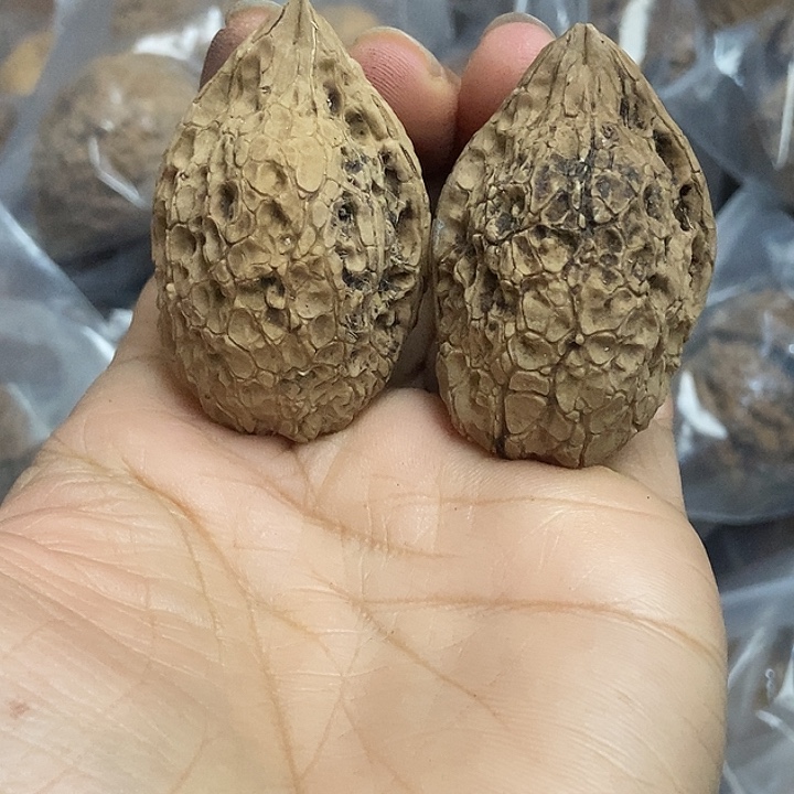 文玩核桃把件云南铁核桃基地65